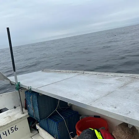 Unique And Cozy Apoartment I Citycenter 公寓 滕斯贝格